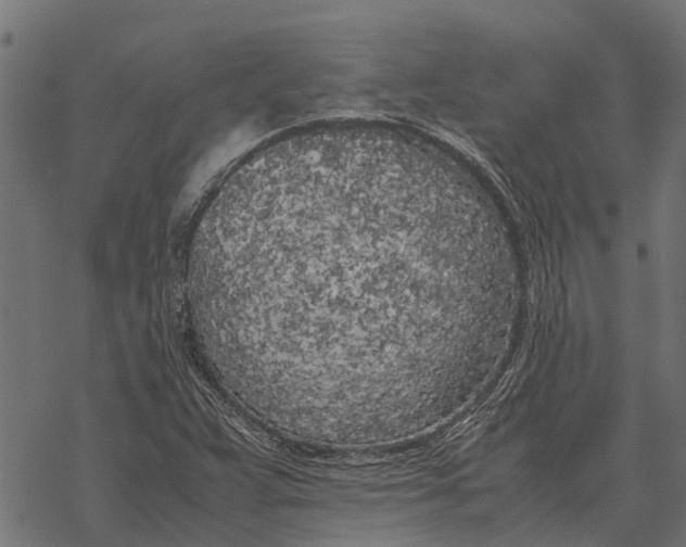 X0000067951359200605041815