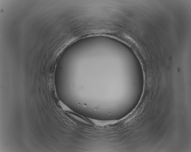 X0000067951361200605041815