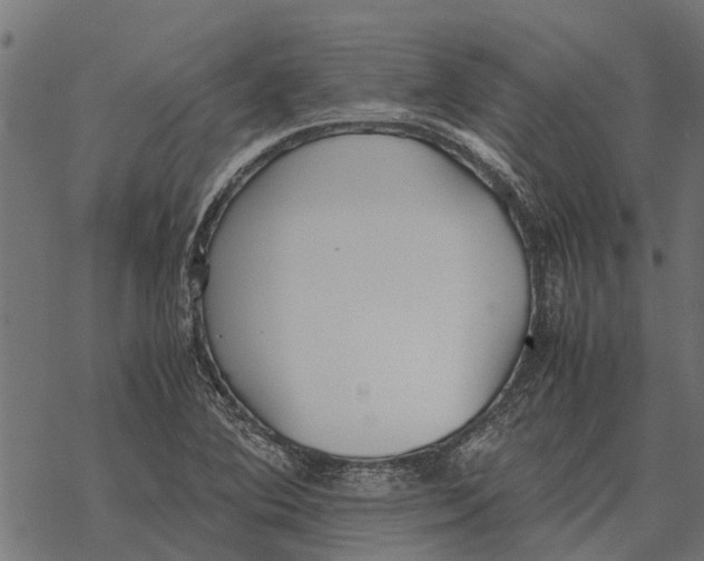 X0000067951364200605041815