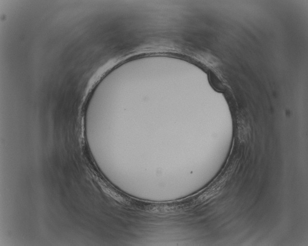 X0000067951366200605041815