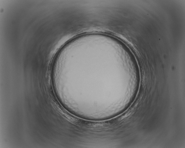 X0000067951367200605041815