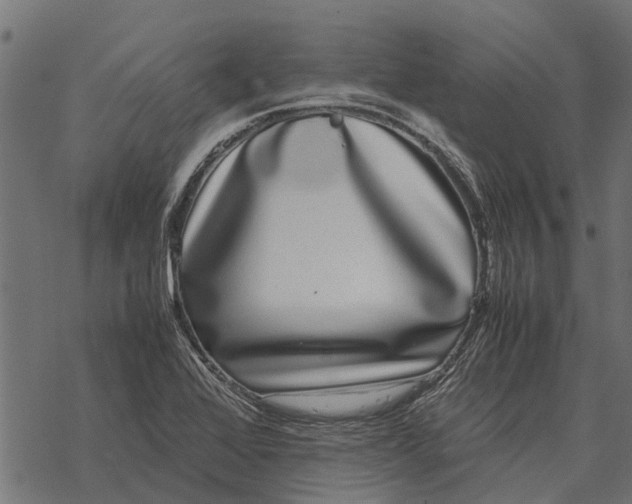 X0000067951368200605041815