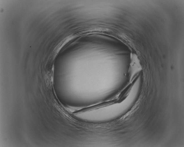 X0000067951369200605041815