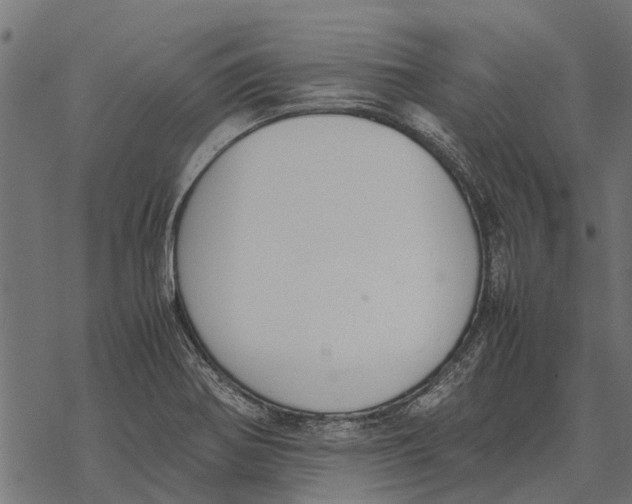 X0000067951370200605041815