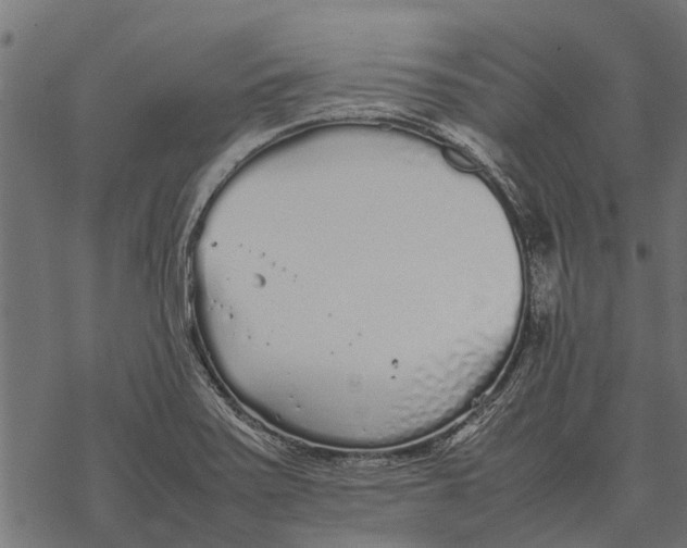 X0000067951371200605041815