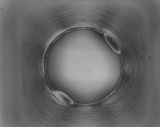 X0000067951372200605041815