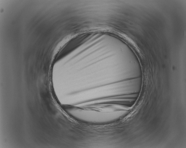 X0000067951373200605041815