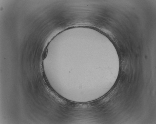 X0000067951374200605041815