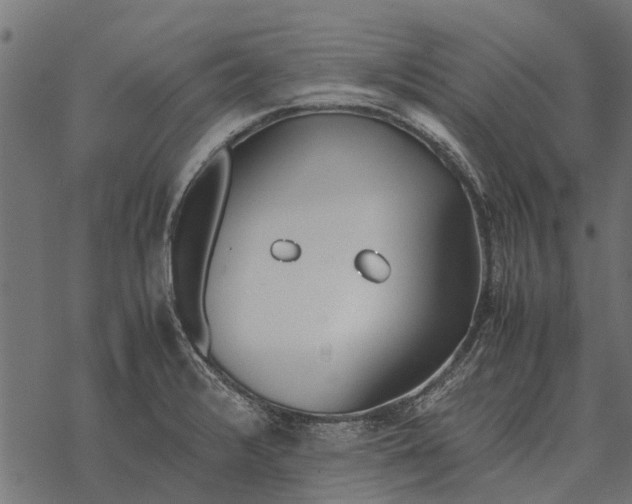 X0000067951376200605041815