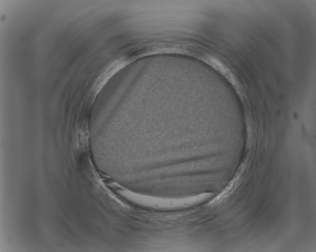 X0000067951377200605041815