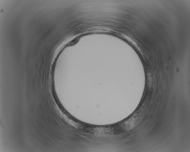 X0000067951379200605041815