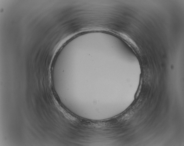 X0000067951380200605041815