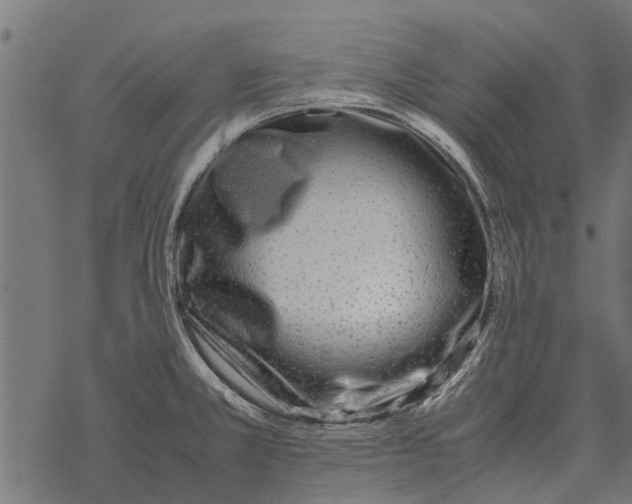 X0000067951381200605041815