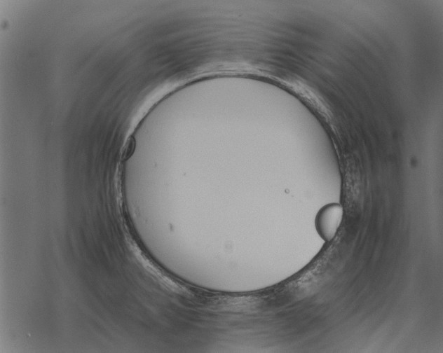 X0000067951382200605041815