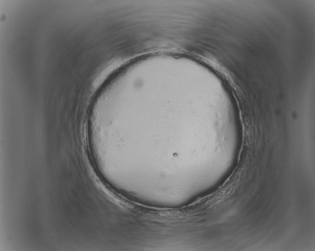 X0000067951383200605041815