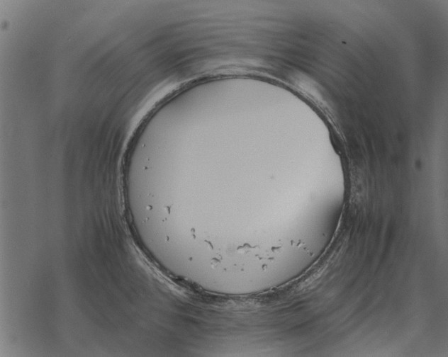 X0000067951384200605041815