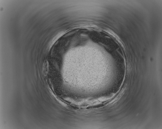 X0000067951385200605041815