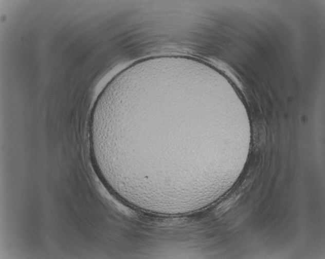 X0000067951387200605041815