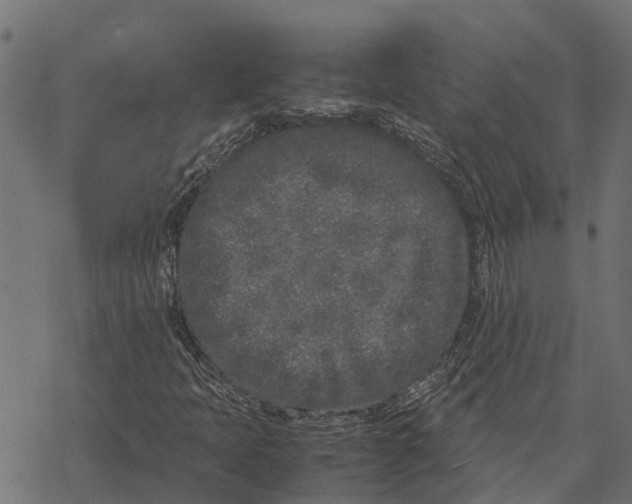 X0000067951397200605041814