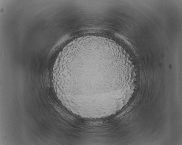 X0000067951403200605041814