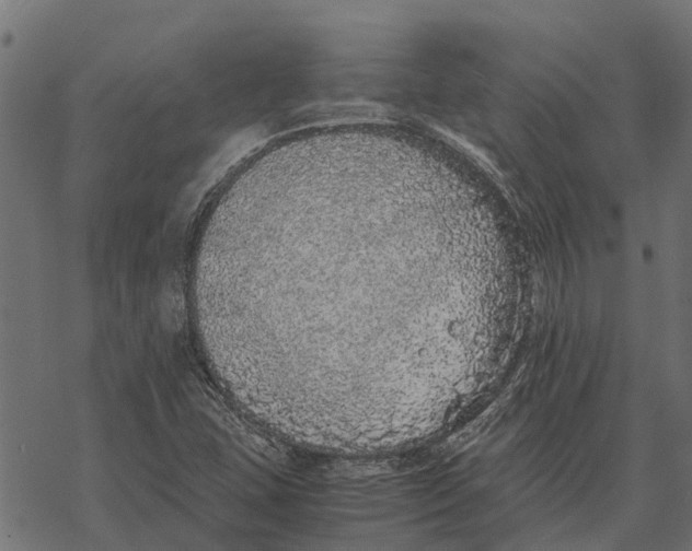 X0000067951407200605041814