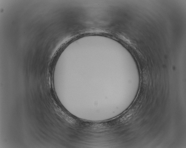 X0000067951408200605041814