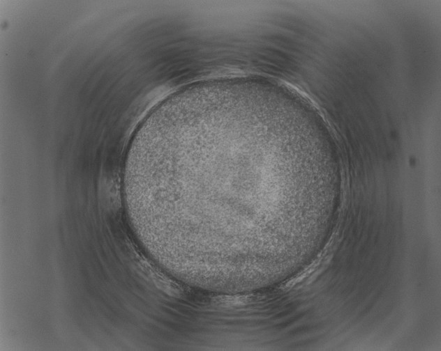 X0000067951409200605041814