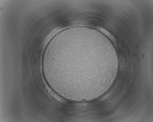 X0000067951431200605041814