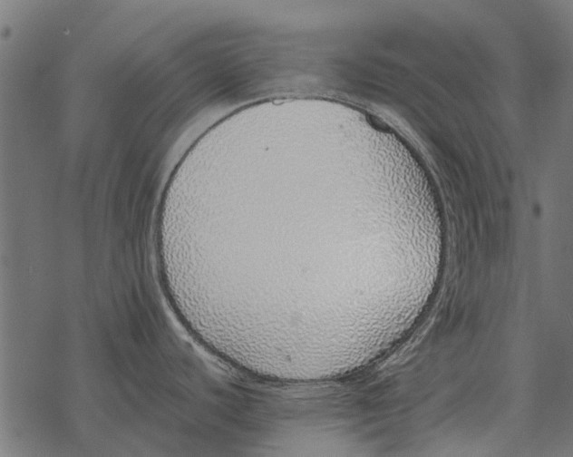 X0000067951440200605041814