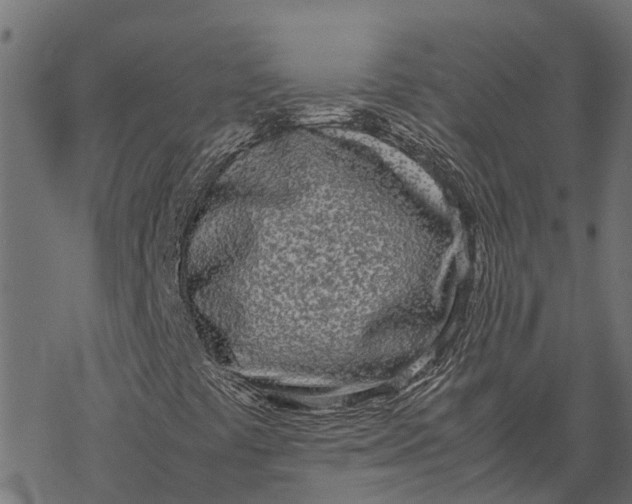 X0000067951441200605041814