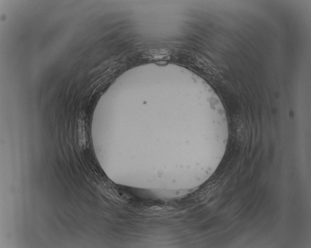 X0000067951442200605041814