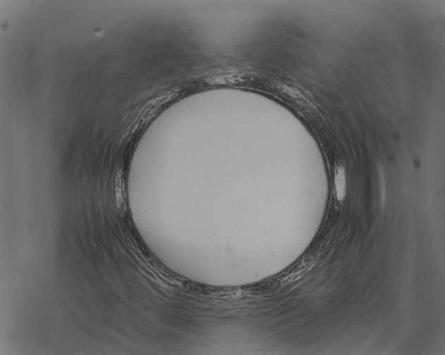 X0000067951444200605041814