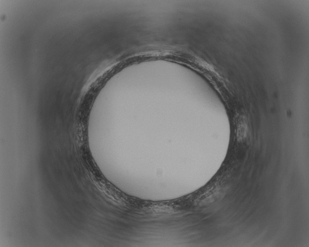 X0000067951448200605041814