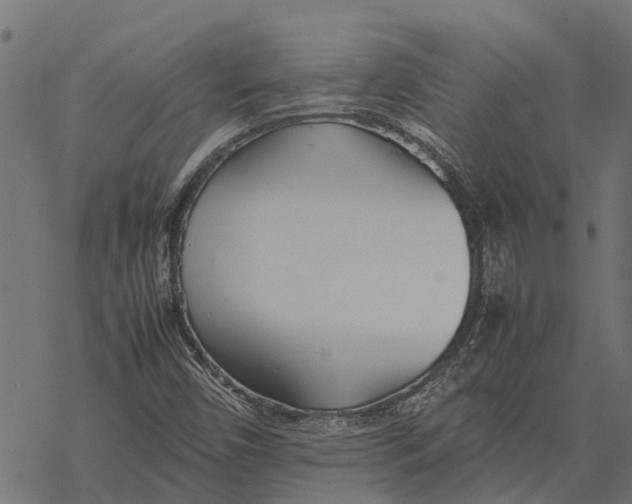 X0000067951450200605041813