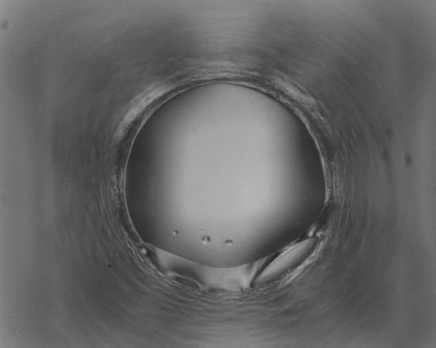 X0000067951453200605041813