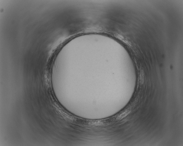 X0000067951454200605041813