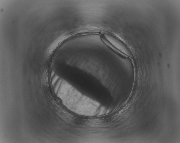 X0000067951455200605041813