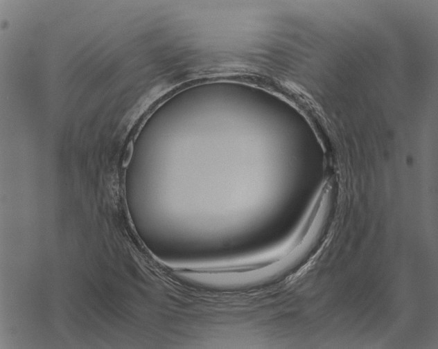 X0000067951457200605041813