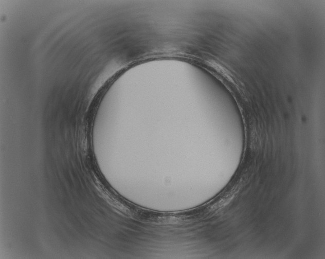 X0000067951458200605041813