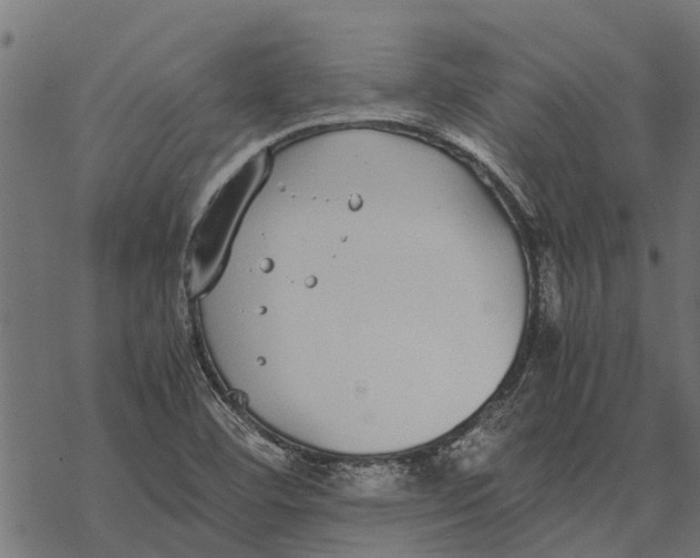 X0000067951460200605041813