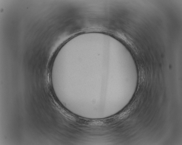 X0000067951462200605041813