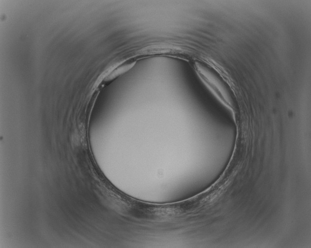 X0000067951465200605041813