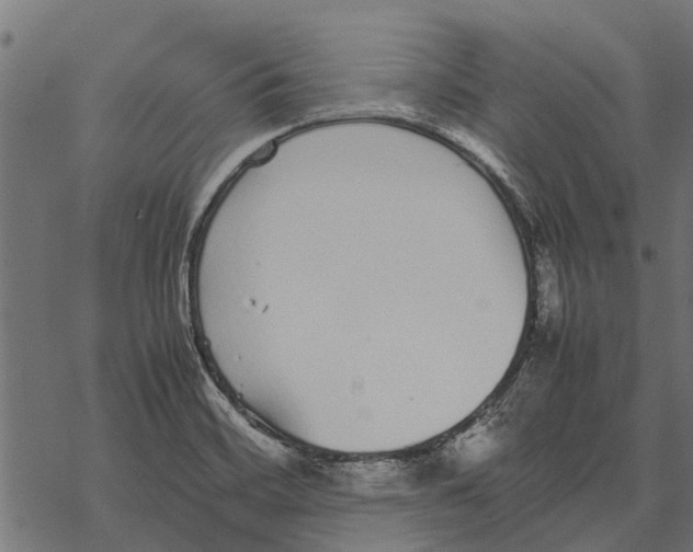 X0000067951468200605041813