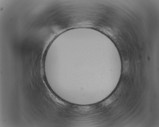 X0000067951470200605041813