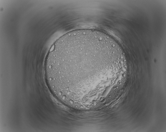 X0000067951471200605041813