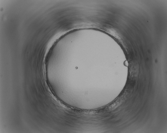 X0000067951472200605041813