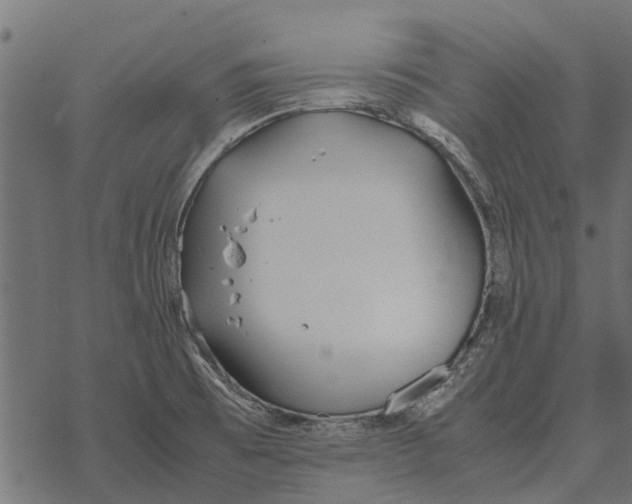 X0000067951473200605041813