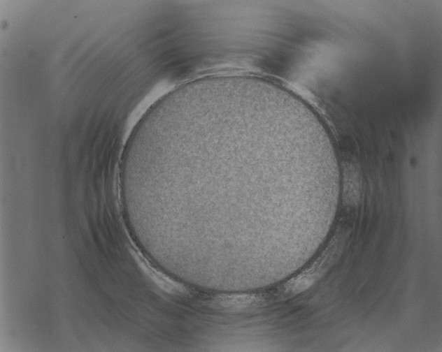 X0000067951474200605041813