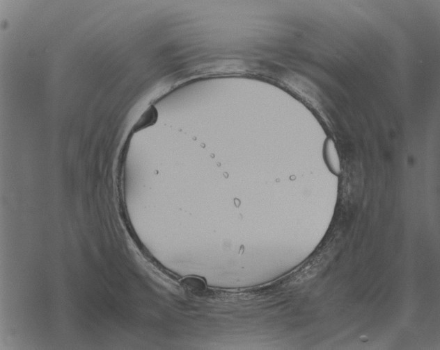 X0000067951475200605041813