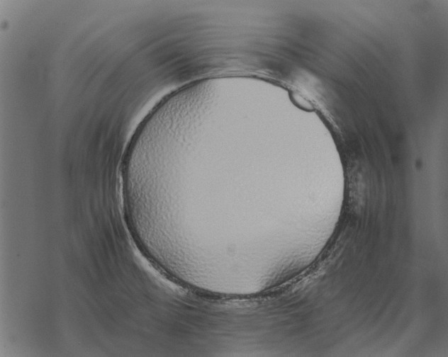 X0000067951476200605041813